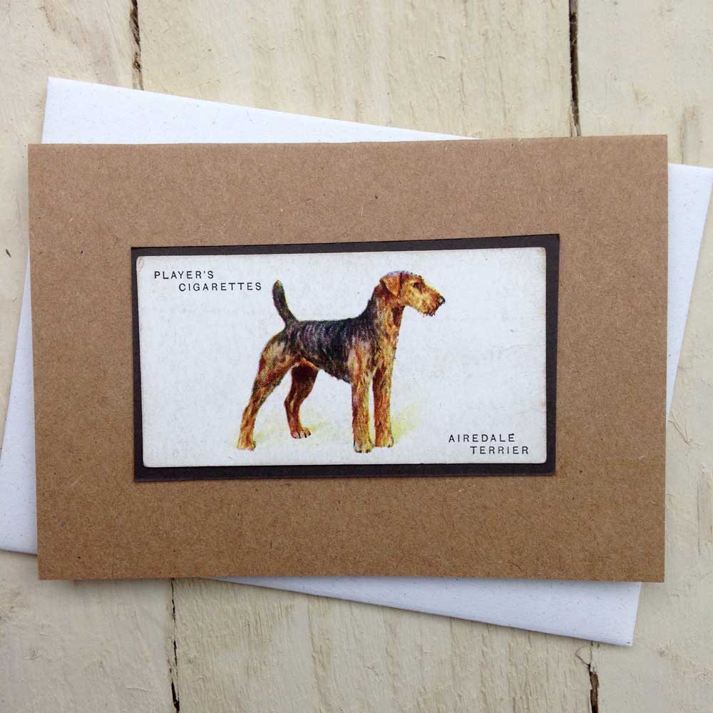 Airedale Terrier greeting card | The Enlightened Hound