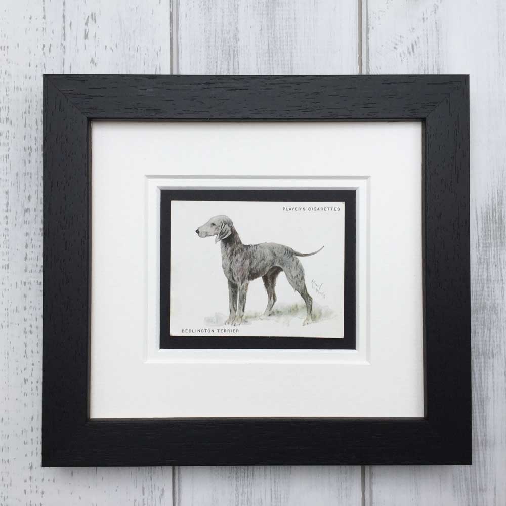 Vintage Dog Breed Gifts & Cards Framed Dog Memorabilia