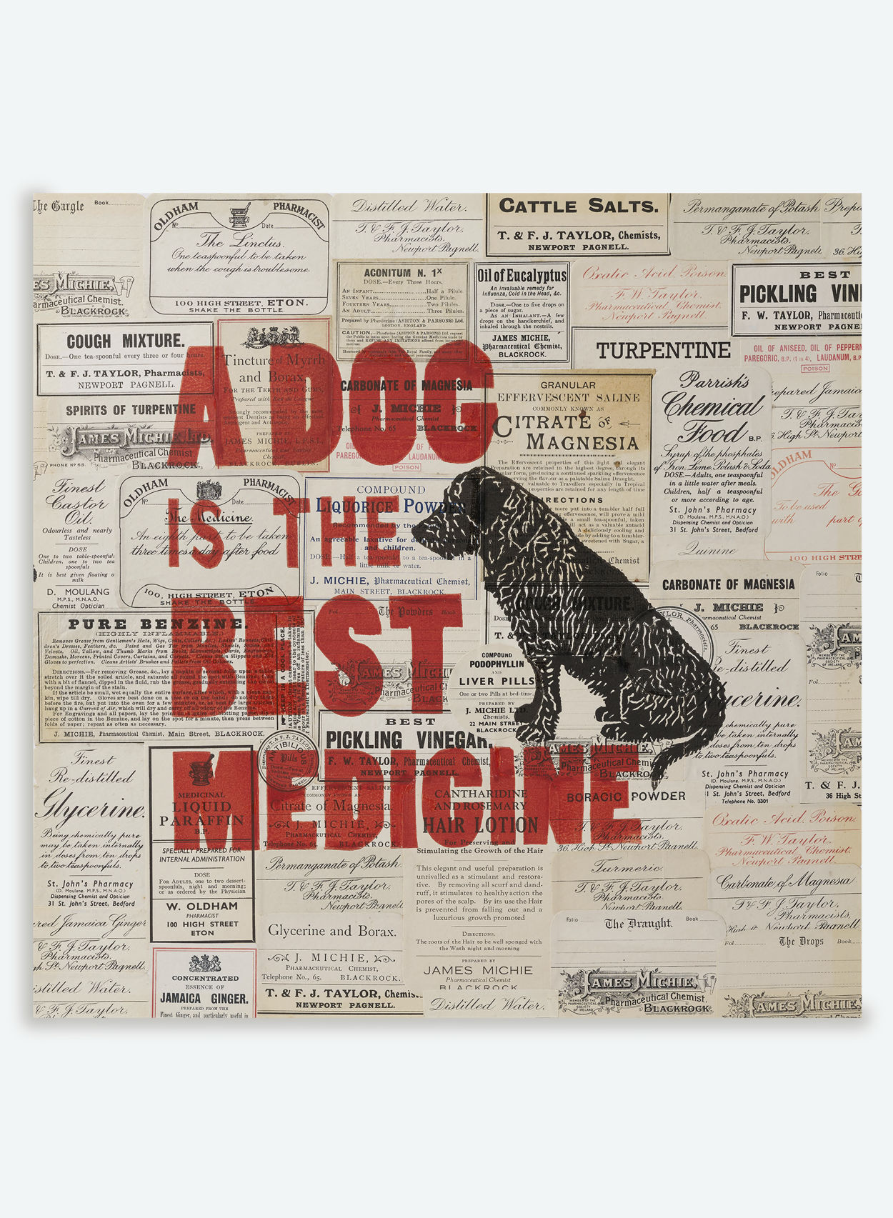 A Dog  is the Best Medicine | The Enlightened Hound