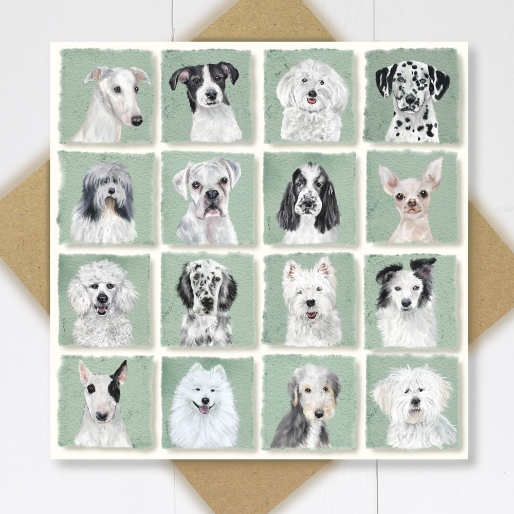 Black & white dogs greeting card | The Enlightened Hound
