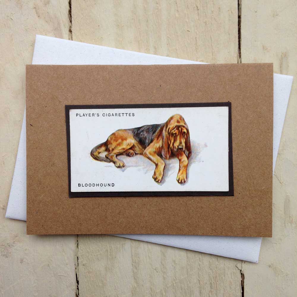Bloodhound Card | The Enlightened Hound