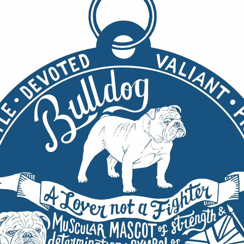 Bulldog Art Print | The Enlightened Hound