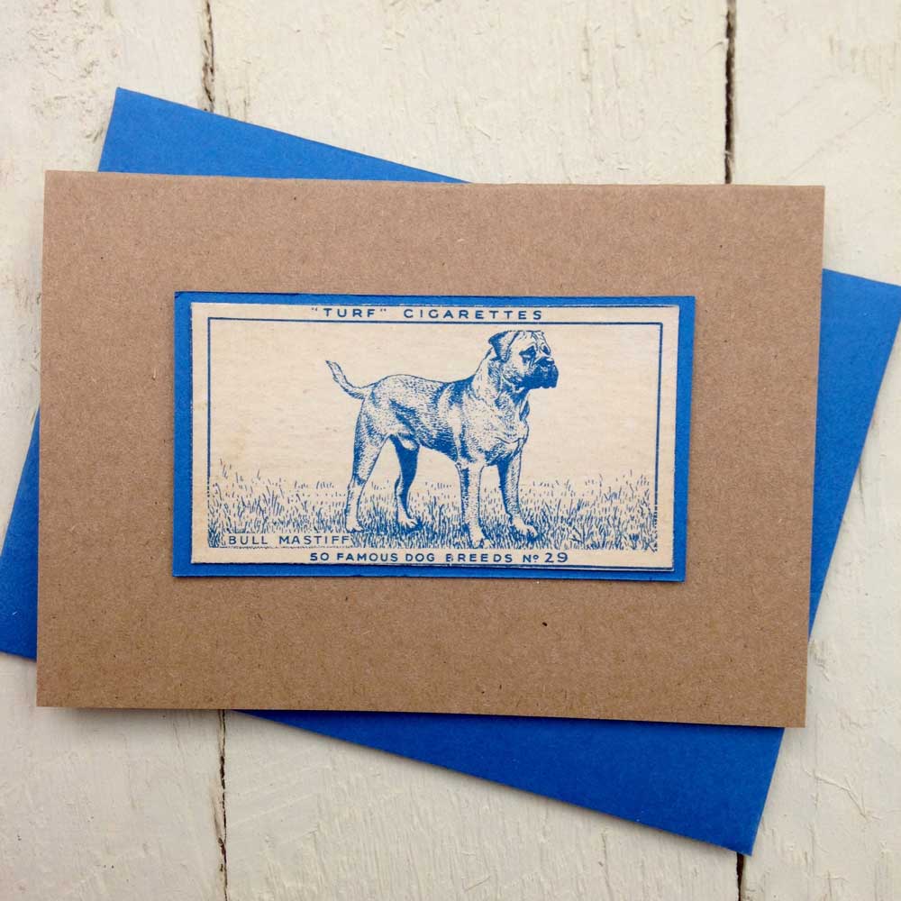 Bullmastiff greeting card | The Enlightened Hound