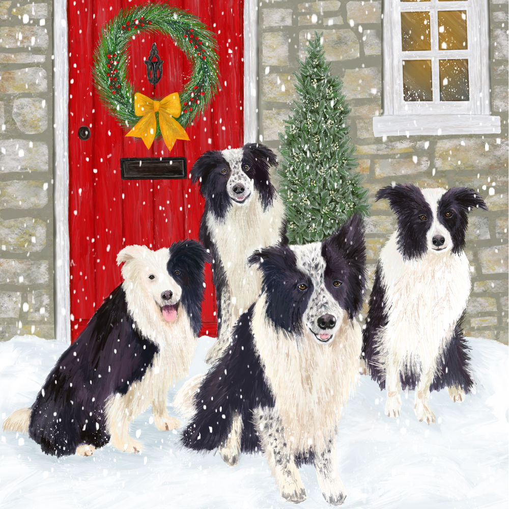 Christmas Border Collie Illustration | The Enlightened Hound