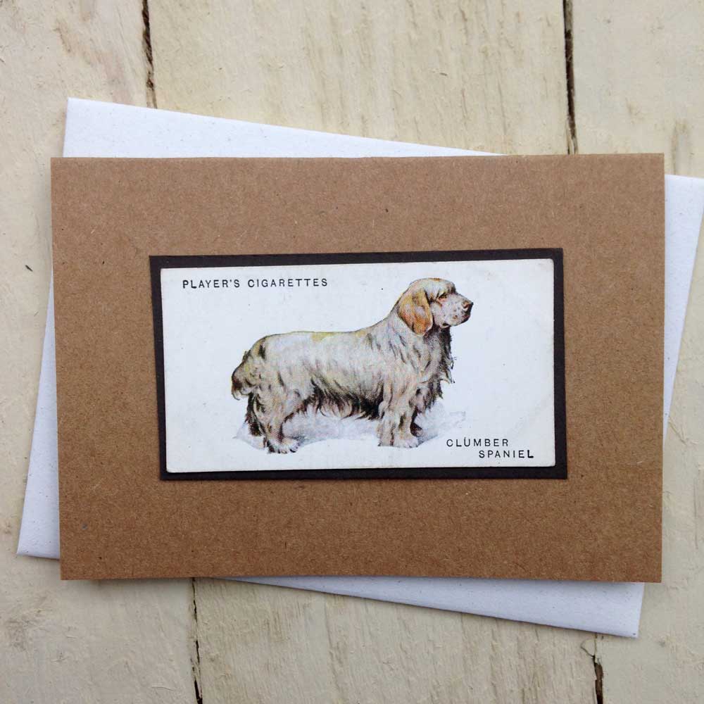 Clumber Spaniel greeting card | The Enlightened Hound