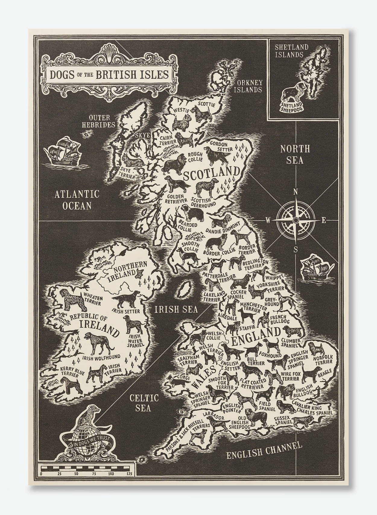 Dogs of the British Isles Map Print | The Enlightened Hound