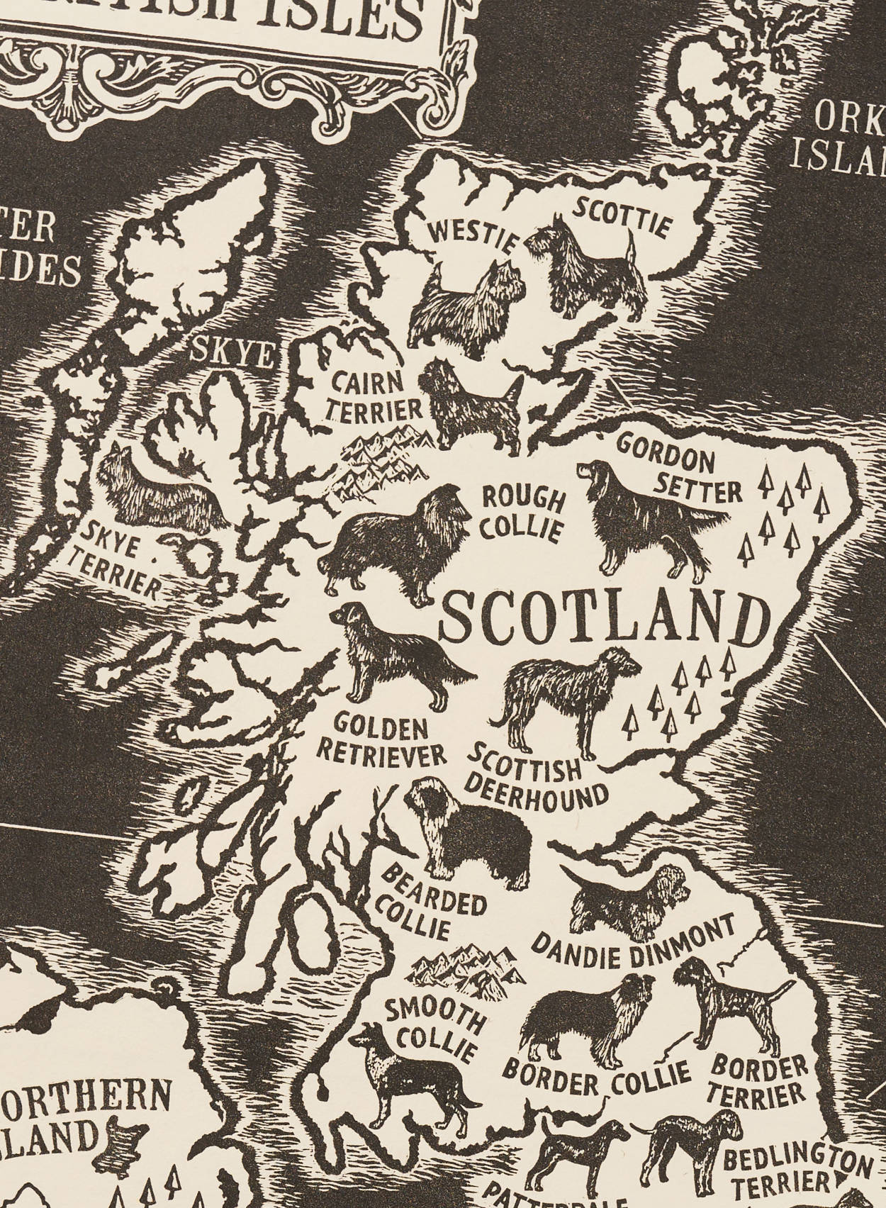 Scottish Dog Breeds Map Illustration Print | The Enlightened Hound