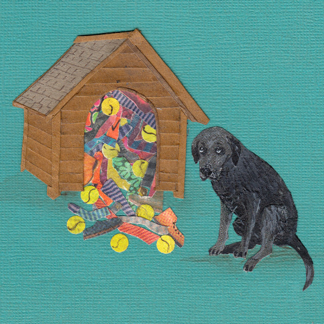 Labrador Hoarder Balls Socks Collage Illustration | The Enlightened Hound