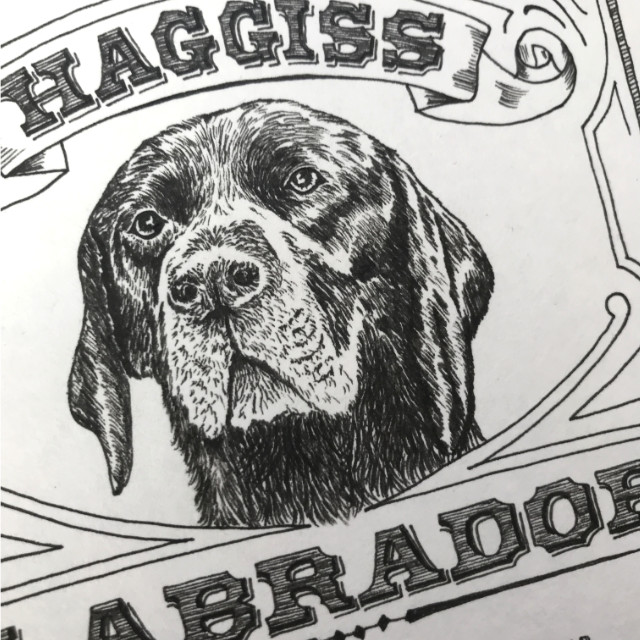 Labrador pen & ink illustration | The Enlightened Hound