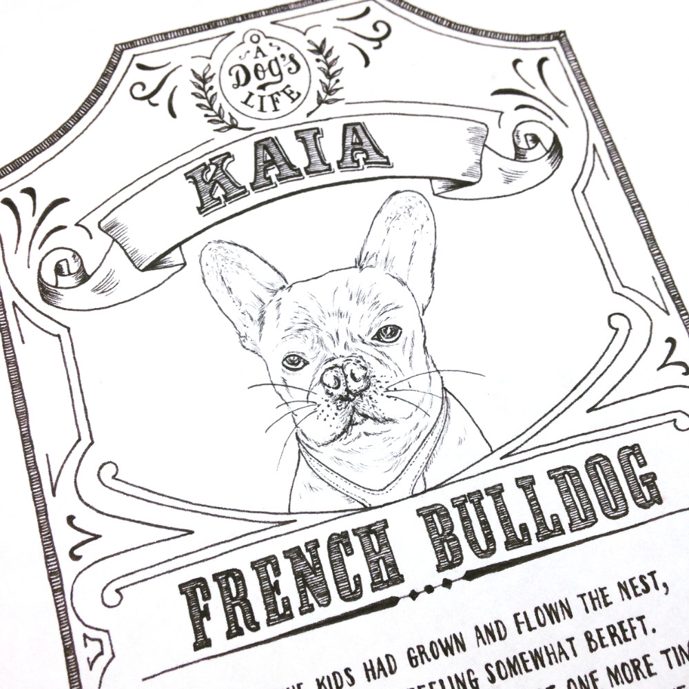 Dog Illustration French Bulldog Portrait Pen Ink |The Enlightened Hound