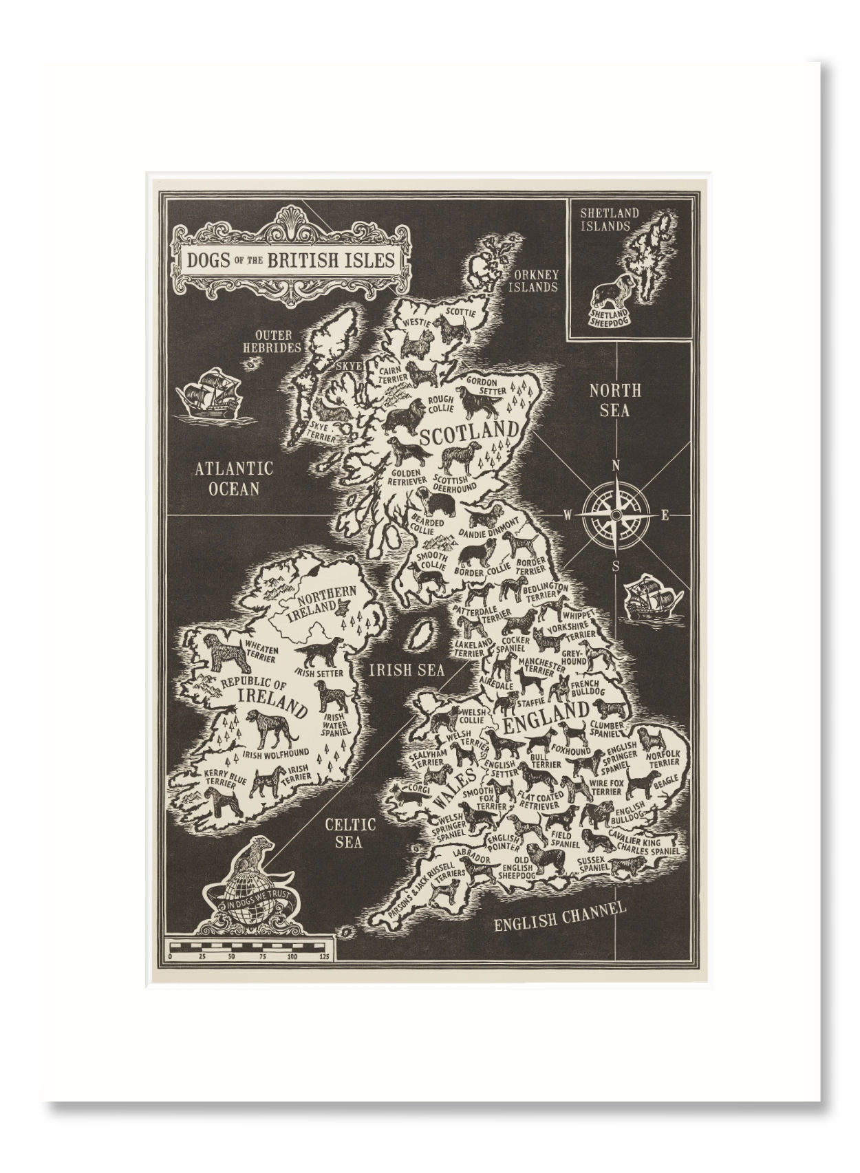 Dogs of the British Isles print sale | The Enlightened Hound