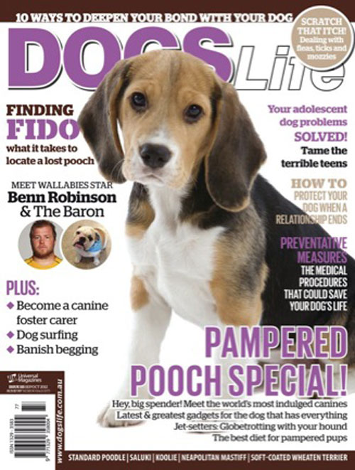 Dogs Life Magazine Cover