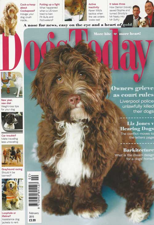 Dogs Today Magazine Cover