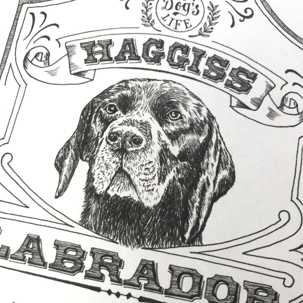 Dog Illustration Pet Portrait Pen Ink |The Enlightened Hound