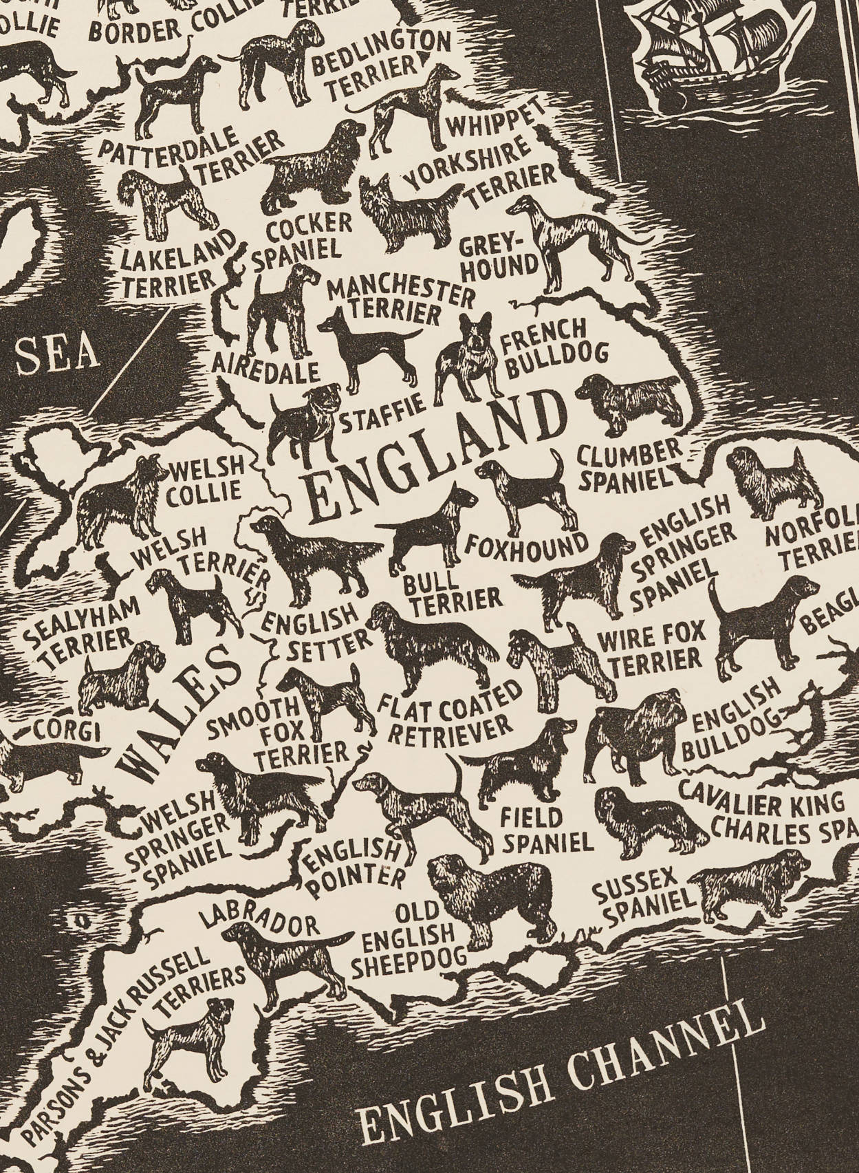 English Dog Breeds Map illustration | The Enlightened Hound
