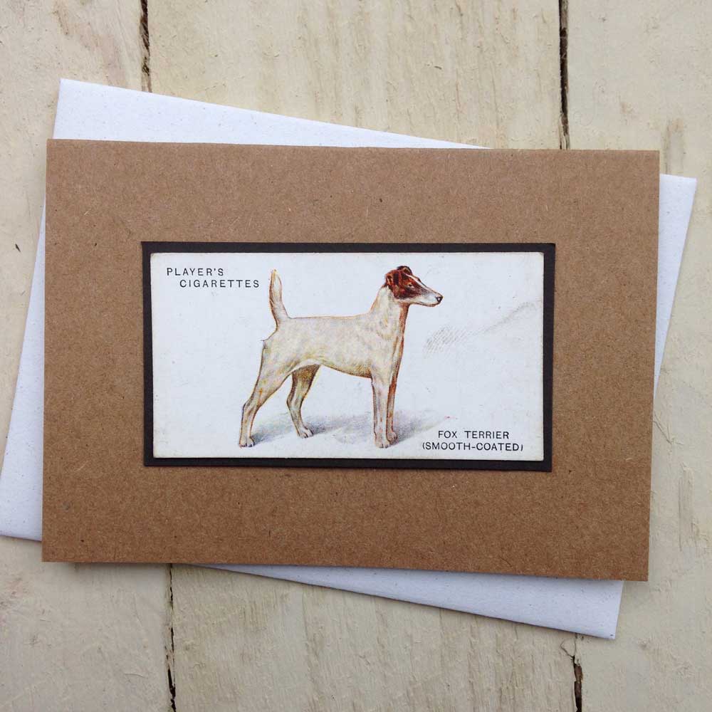 Smooth Fox Terrier Greeting Card | The Enlightened Hound