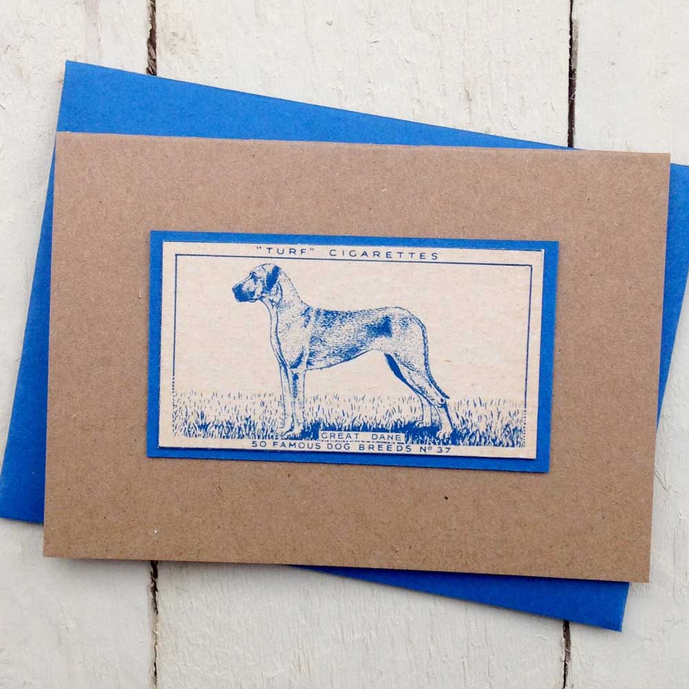 Great Dane greeting card | The Enlightened Hound