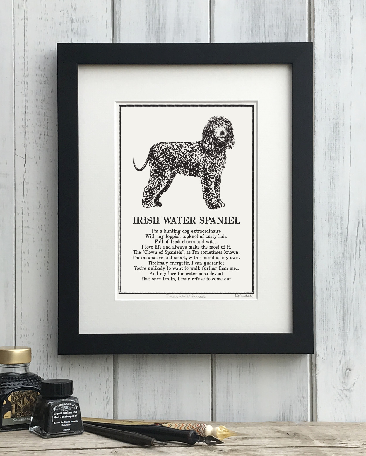 Irish Water Spaniel Print