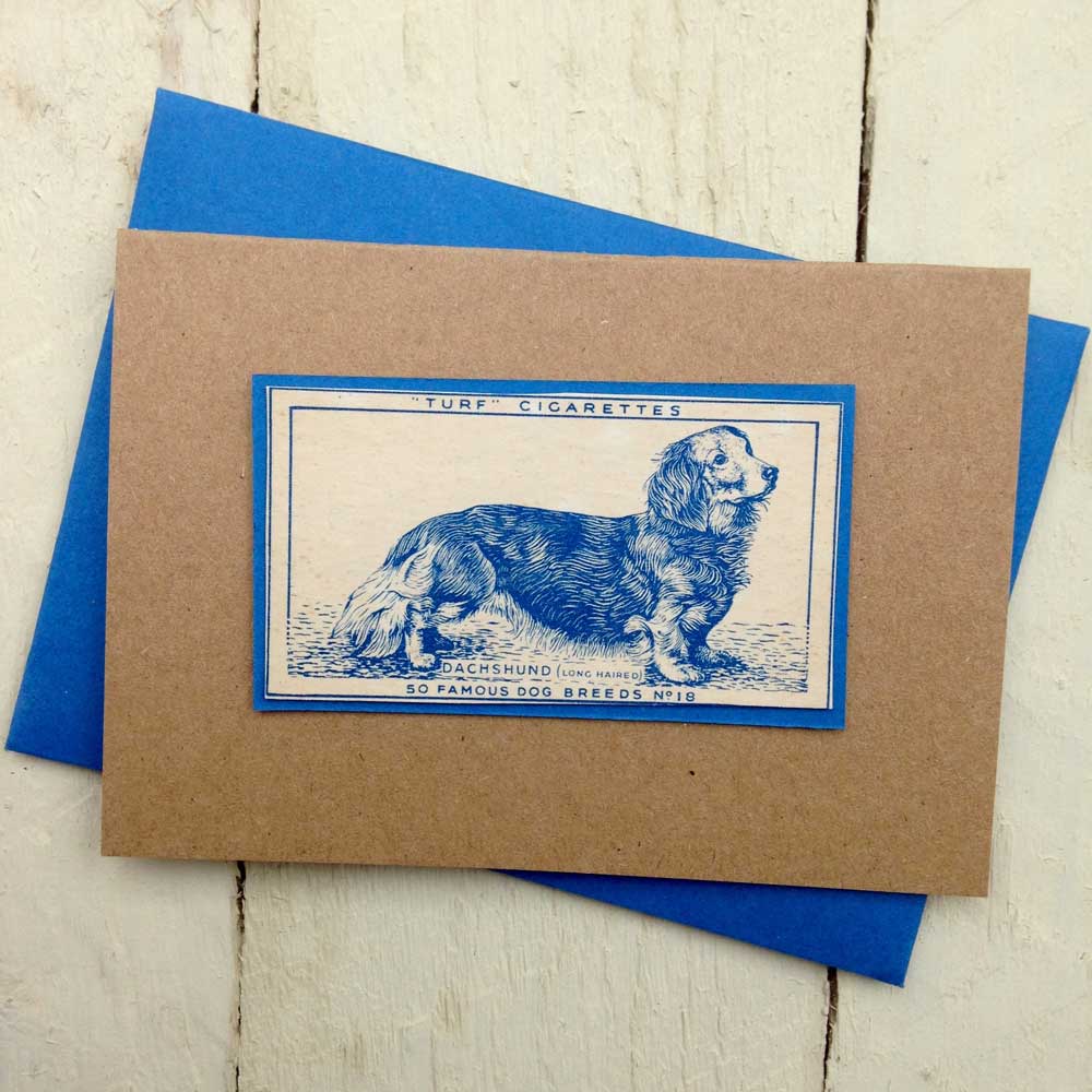 Long Haired Dachshund Card | The Enlightened Hound