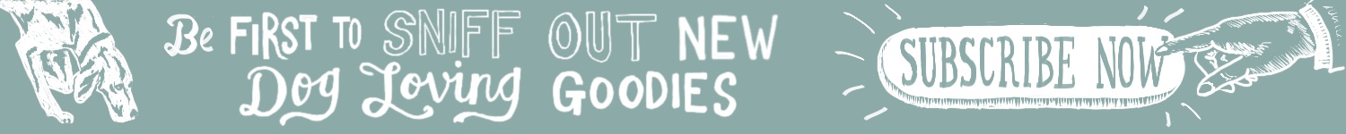 Newsletter Sign Up Banner