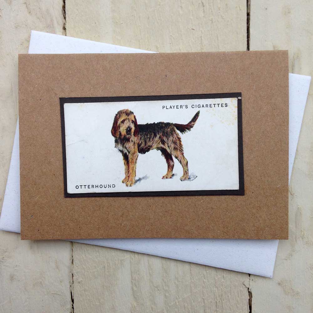 Otterhound Greeting Card | The Enlightened Hound