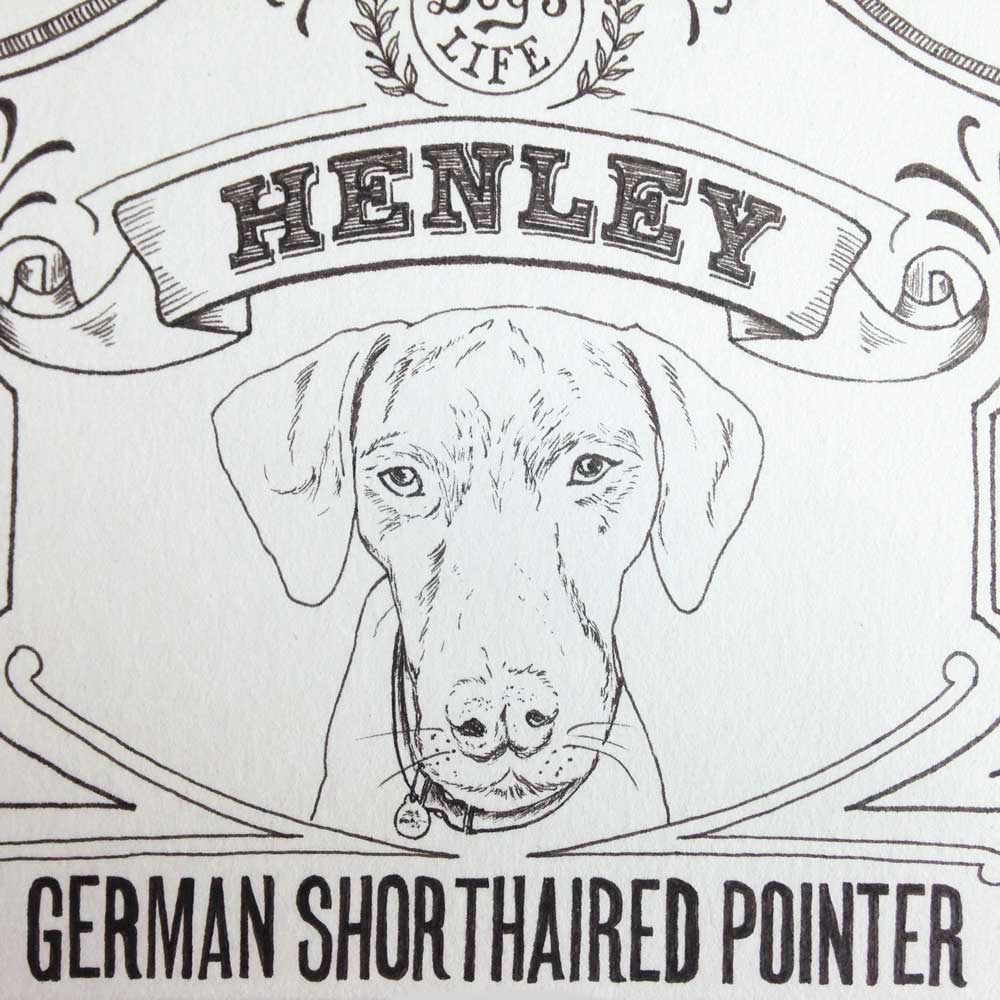 Dog Illustration Pet Portrait Pen Ink |The Enlightened Hound