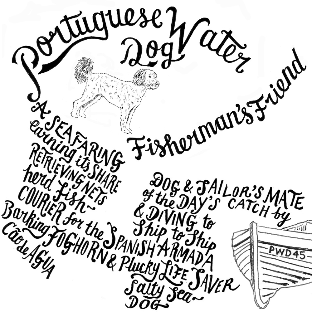 Lettering illustration pen ink dog | The Enlightened Hound