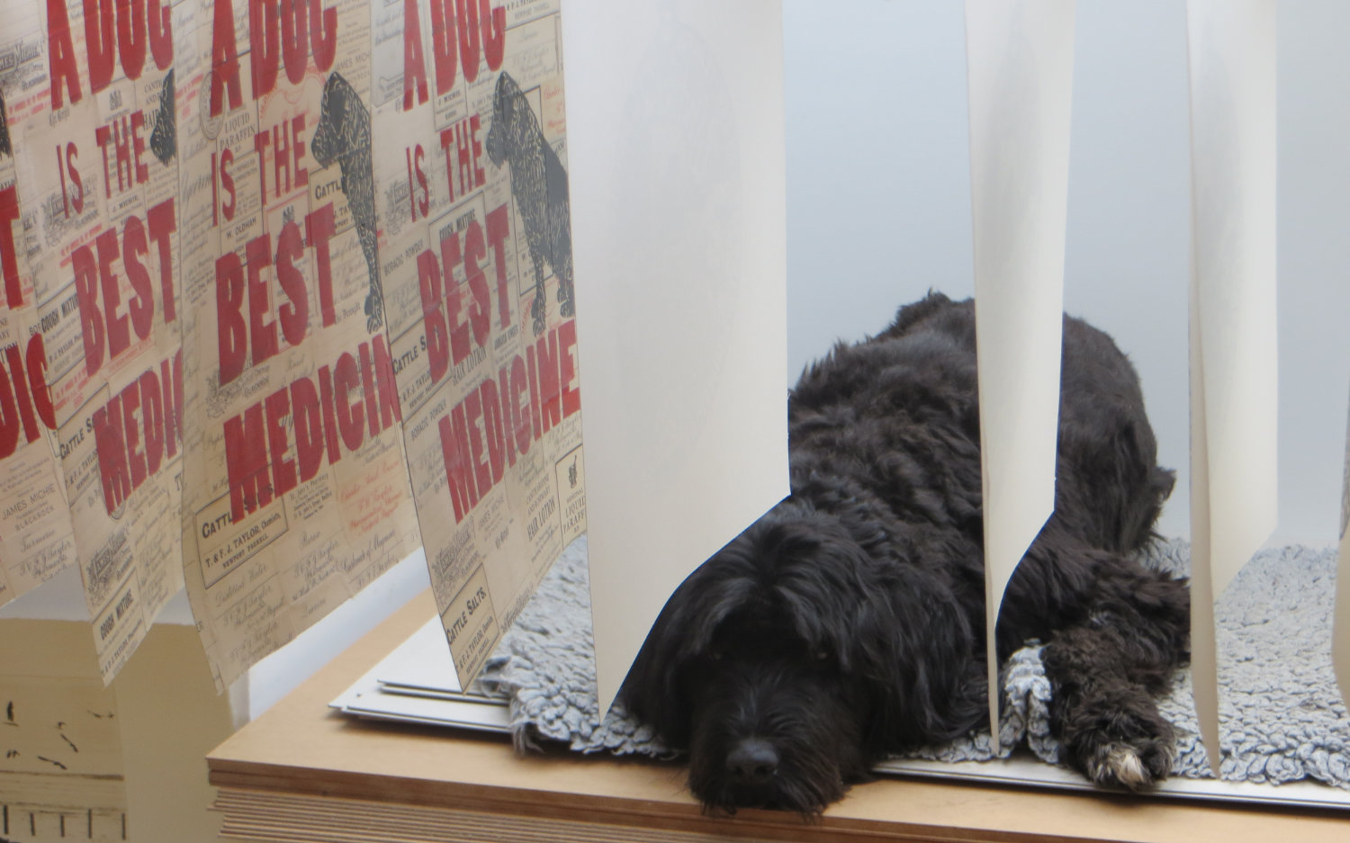 Printmaker's Dog | The Enlightened Hound
