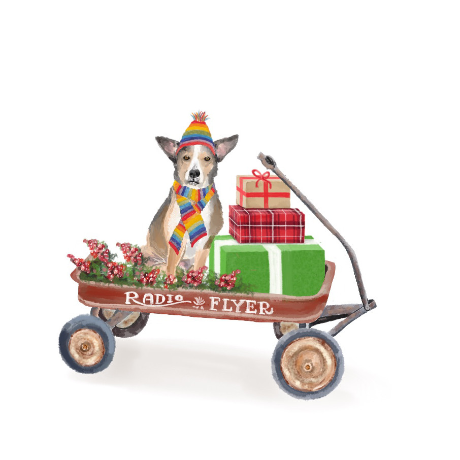 Radio Flyer Wagon Dog Illustration | The Enlightened Hound