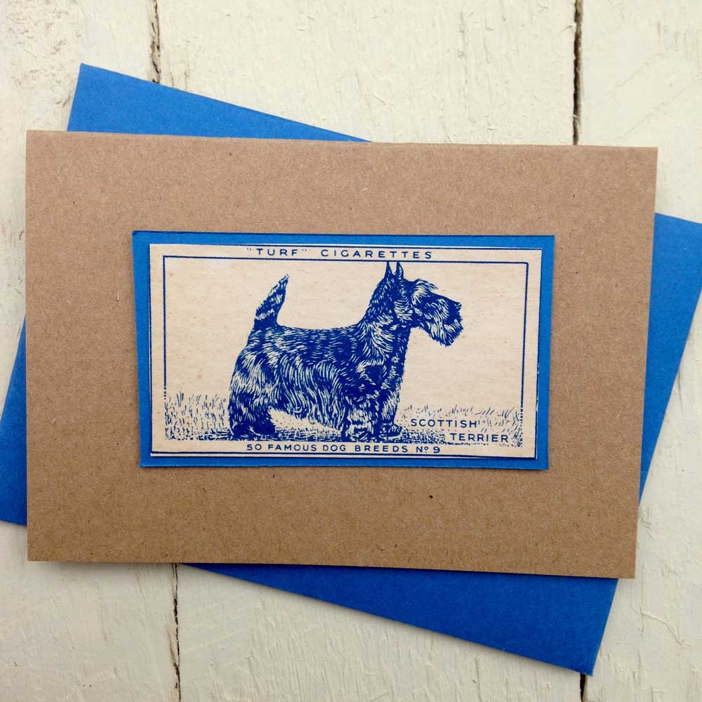 Scottish Terrier Scottie Dog greeting card | The Enlightened Hound