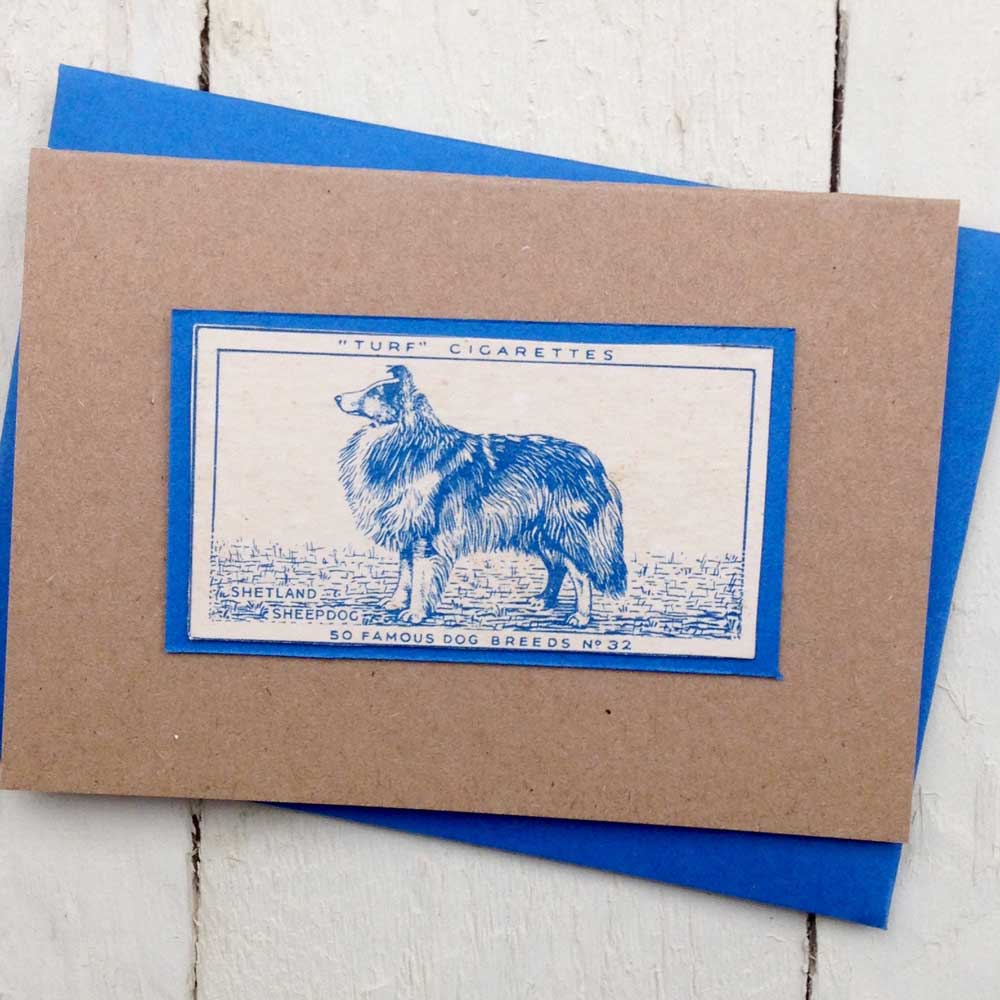 Shetland Sheepdog Sheltie Greeting Card | The Enlightened Hound