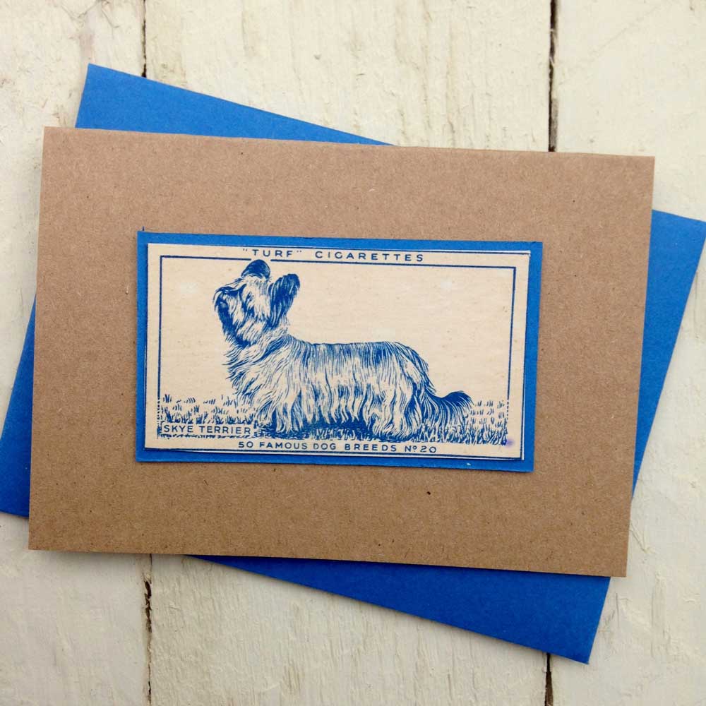 Skye Terrier Greeting Card | The Enlightened Hound