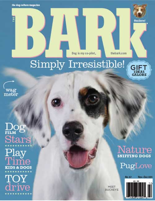 The Bark Magazine Cover USA