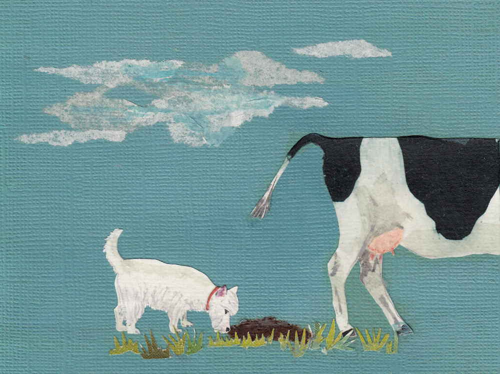 Westie terrier collage illustration | The Enlightened Hound