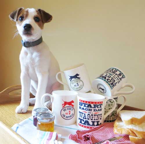 Canine Wisdom Dog Sayings Mugs Licenced Design | The Enlightened Hound