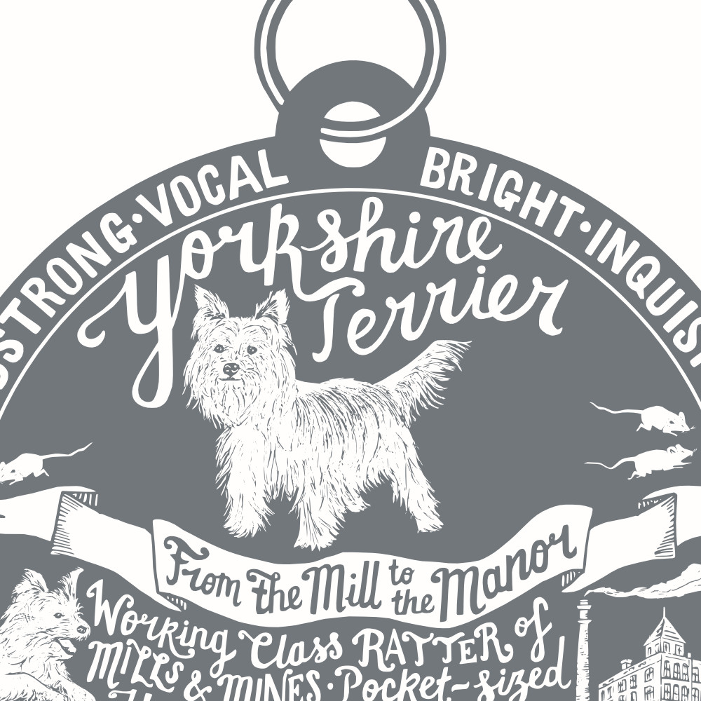 Yorkshire Terrier Art Print | The Enlightened Hound